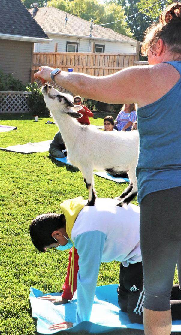 Goat Yoga - Success Academy